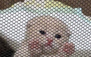 Meet your Posher, Mel